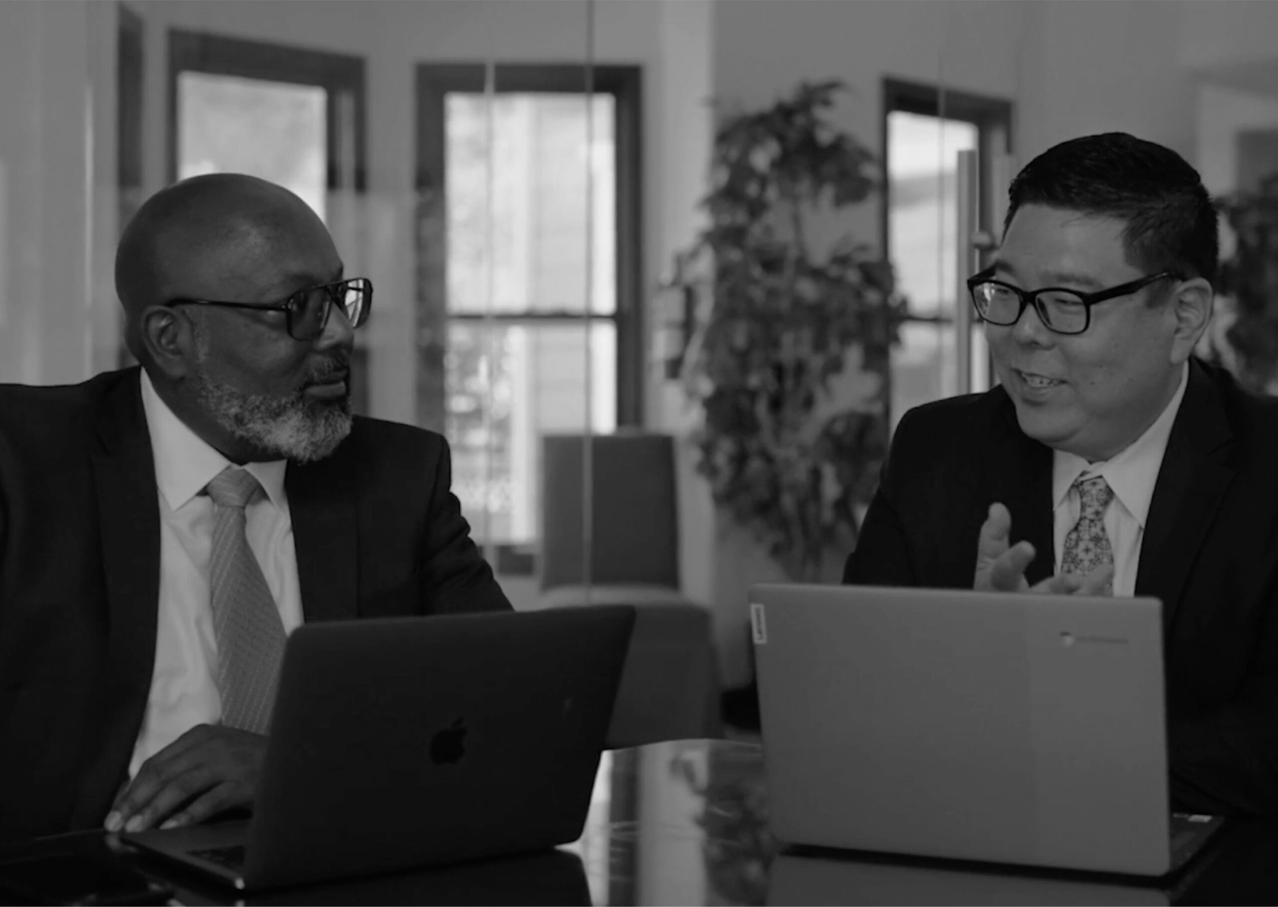Business Litigation